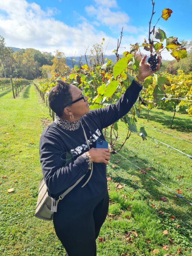 Day trip to the Vineyard, NC