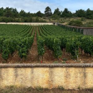 Signature Burgundy Experience